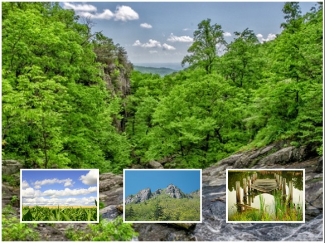 Collage Canvas Photo Prints From £9 - Print photos on canvas prints